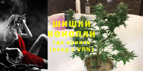 шишки Козельск