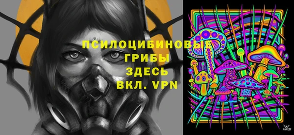 ПСИЛОЦИБИНОВЫЕ ГРИБЫ Киренск